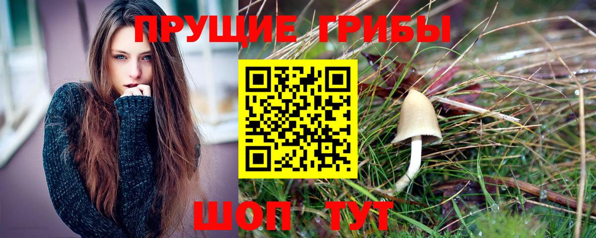 Псилоцибиновые грибы мицелий Миасс